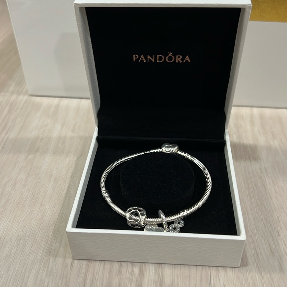 Pandora Silver Bracelet with Friends Forever, Paw Print, and Infinity Charms